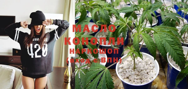 индика Алексин