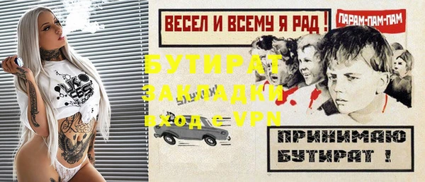 индика Алексин