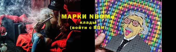 крисы Армянск