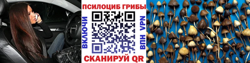 нарко площадка клад  Мантурово  Галлюциногенные грибы Psilocybe 
